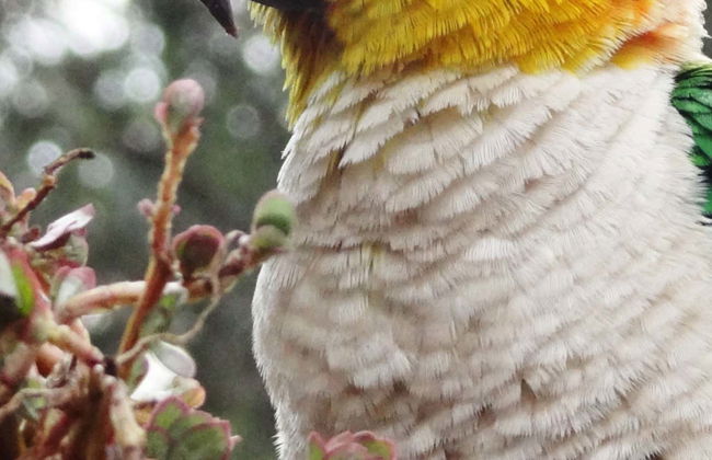 Tingana Nature Reserve Private Day Trip - Photo 1