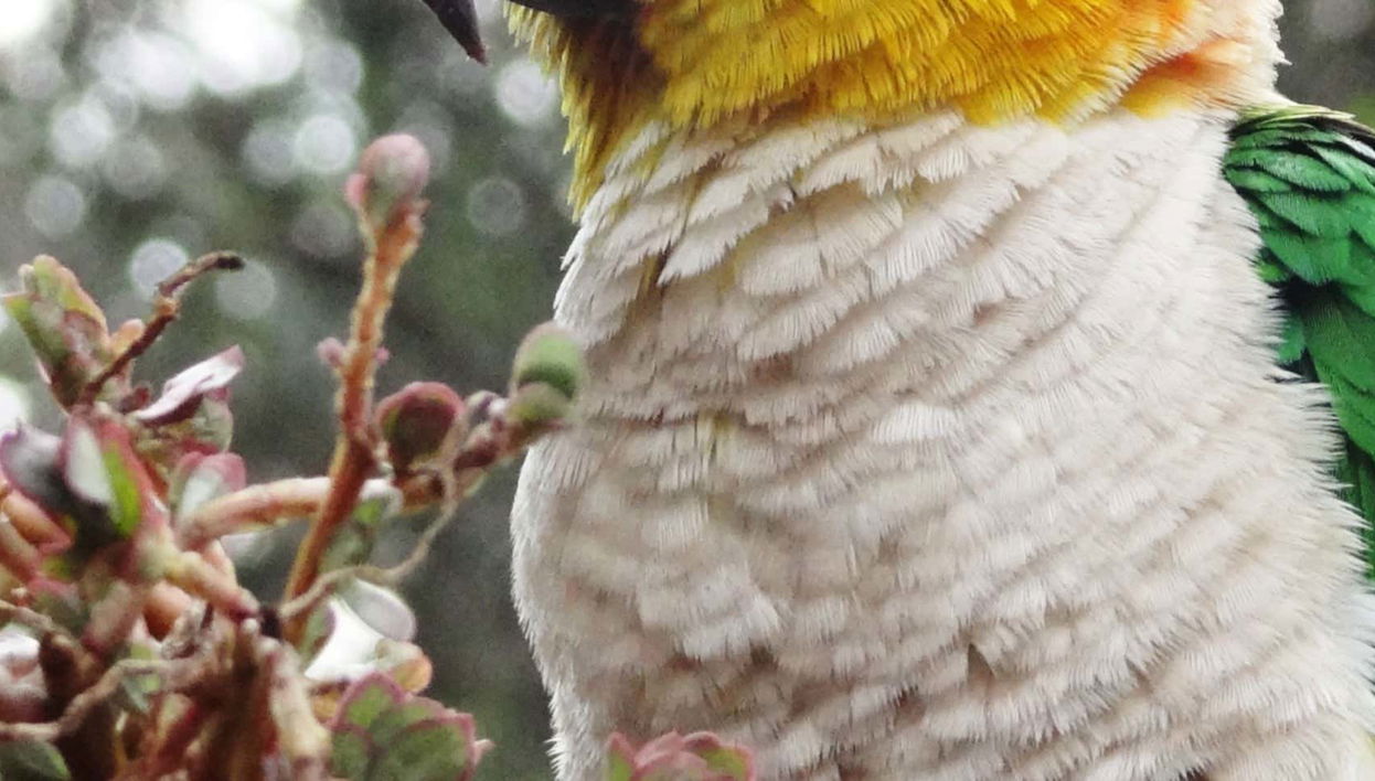 Tingana Nature Reserve Private Day Trip