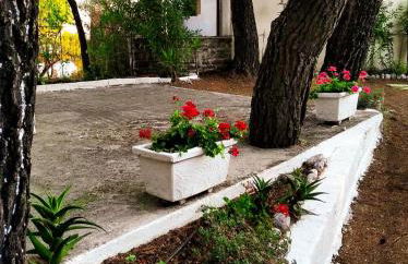 Dialiskari #2 - Foto 18