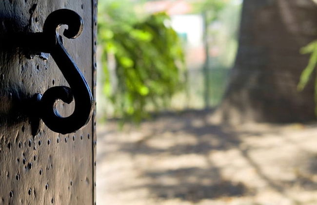 Agriturismo La Petrosa - Foto 16