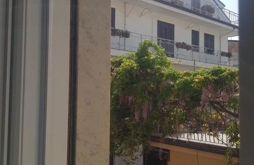 Una finestra sul glicine - Foto 15