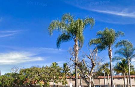 Cali Condo+BBQ+MemoryFoamBeds+12min to Beach - Foto 9