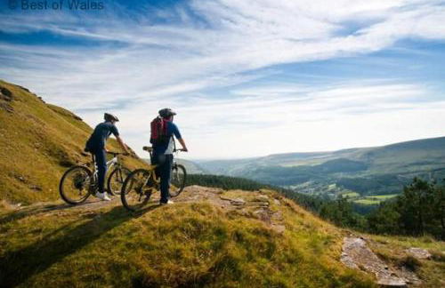 2 Bed in Brecon oc-37318 - Foto 18