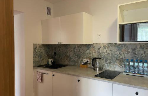 Apartamenty AGAT - Foto 56