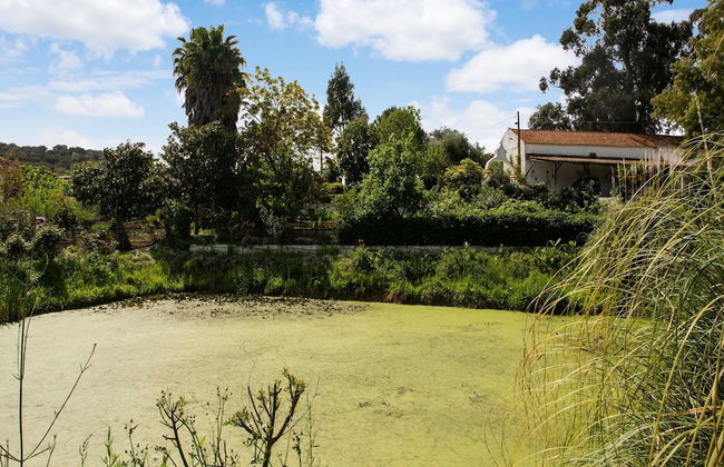 Wine Country Home in Alentejo - Foto 32