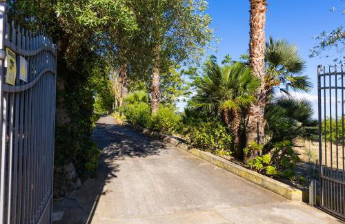 Sicily Authentic Cottage, Outdoor Hot Tub & Century-Old Olive Park, Donna Caterina House - Foto 46