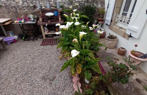 Maison 800m de la mer - Foto 21