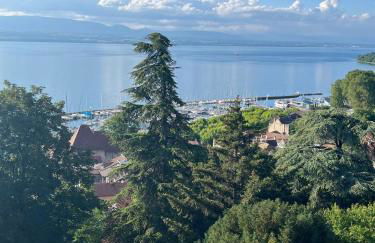 Berges du Léman-cœur de Thonon - Foto 26