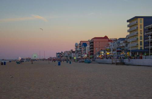 Coral Shells - Foto 5