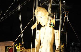 Casa do Carvalhal - natureza no centro da cidade - Foto 33