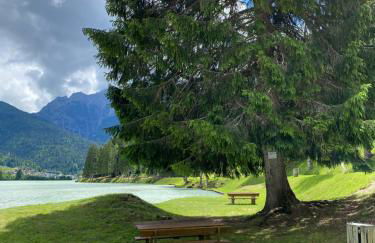 Chalet Pian della Velma - Auronzo di Cadore - Photo 34