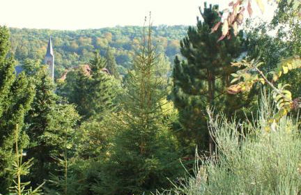 Ferienhaus Harzblick - Foto 35