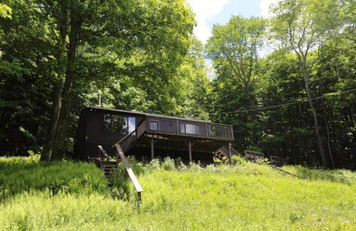 Fireplace Catskill Views Overlook Lake Cabin - Foto 50