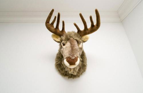 Ferienwohnungen am Markt - Foto 50