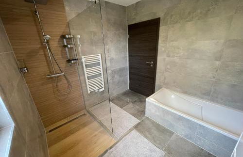 Colmar Appartement terrasse 10min centre ville - Foto 11