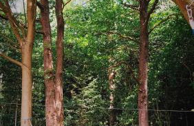 Dzikie Lisko - Domy wakacyjne w Bieszczadach - Foto 19