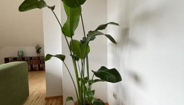 Kulturgenuss am Goethewanderweg - Foto 4