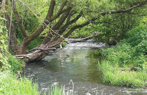 Lichte Wohnung zum Wohlfühlen - Foto 33