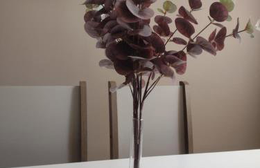 casa temporada lua nova centro - Foto 27