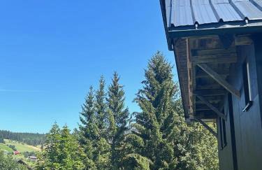 Schwarzwald Chalet Matti in Todtnauberg - Foto 61