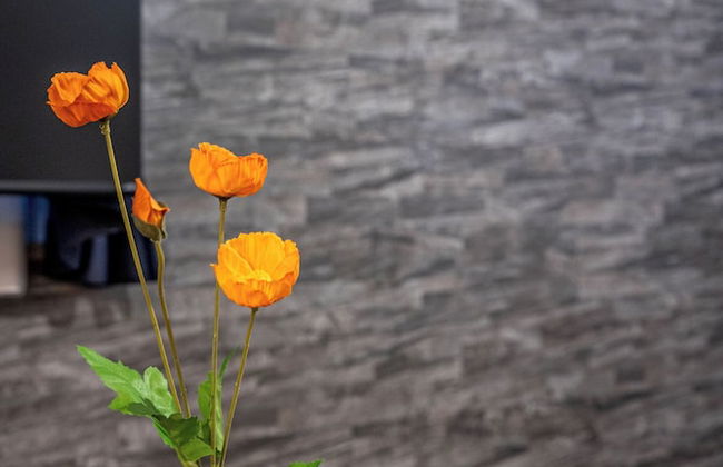 Arita Clover Heights - Foto 60