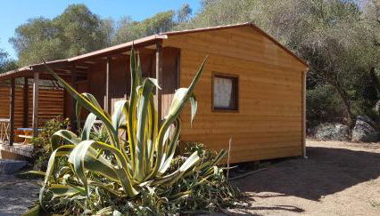 Chalet Cosy - U Nestru - Foto 4, Garden