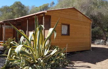 Chalet Cosy - U Nestru - Foto 4