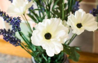 Nant Ucha Farm - Foto 24