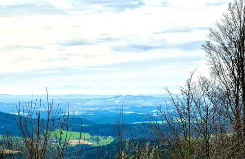 Gemütliches Alpenblick BERG-Bungalow + großer GARTEN + NETFLIX! - Foto 63