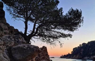 LA CASA BLUE , Mediterranean Boutique-Villa in Santa Cristina Beach - Foto 74