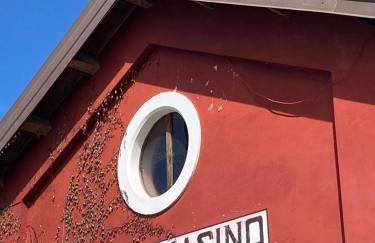 La Casa Rosa di Riso Amaro - Photo 35