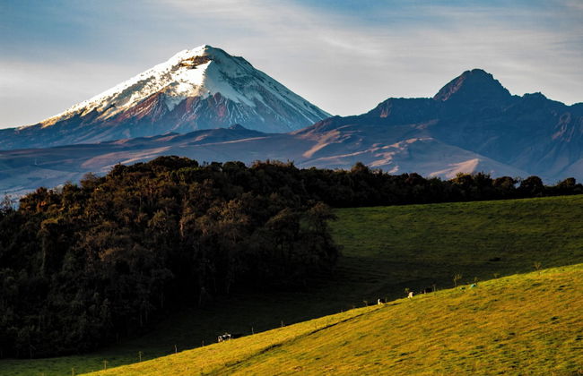Sierra Alisos hotel de campo - Foto 25