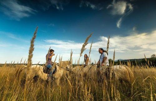 Lagom Apartments - Foto 100