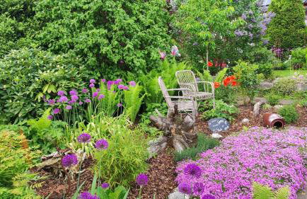 Landhaus Anneliese - Photo 21