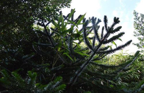 Countryside Tiny House - Photo 31