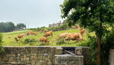 Villa Suances - Foto 3