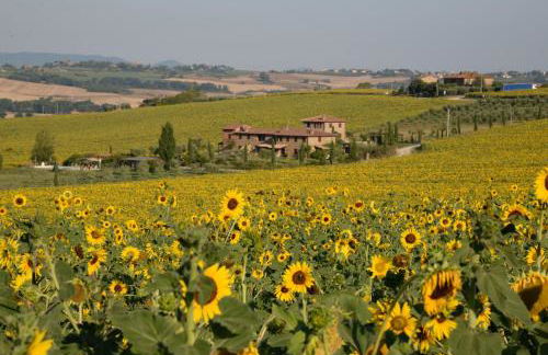 Fontegirasole - a Fontanaro Property - Foto 10