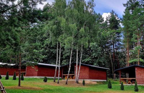 Domki Wrzosowe Wzgórza Nr2 - Foto 17