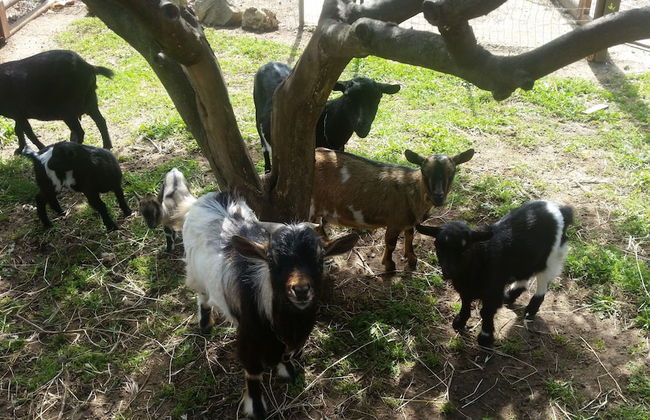 Le Radici Casa Vacanze - Foto 51