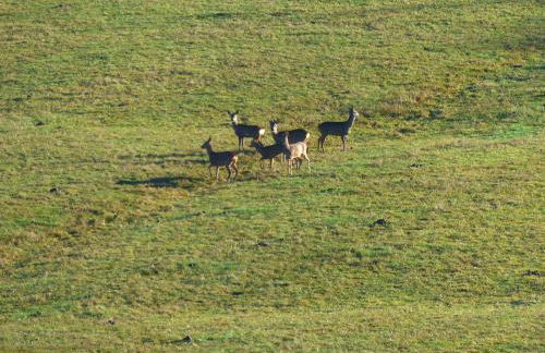 Gîtes Domaine de la Rochère - Foto 16