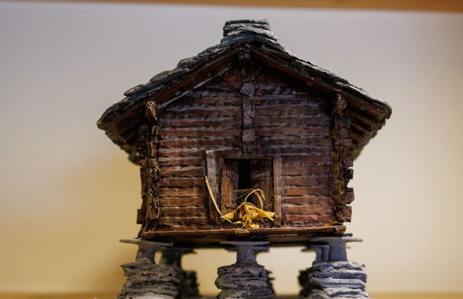 Le Montagnard 6 - Foto 33