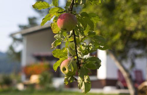 Holiday Home Lana - Foto 36