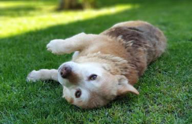 Casa da Quinta - Photo 9