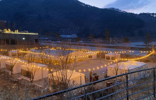 Pine Forest - Photo 31