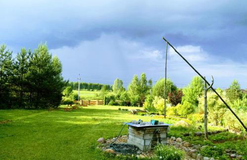 Podlaskie Żuczki - Foto 22