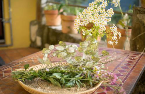 Holiday Home Villa Garibaldino by Interhome - Foto 33