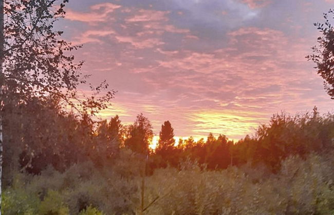 4 Person Holiday Home in Holmsjo - Photo 15