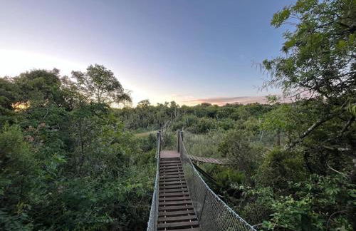 Apartamento em Campo Largo com Lava e Seca - Photo 6