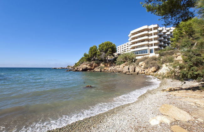 TRH Jardin Del Mar - Foto 38