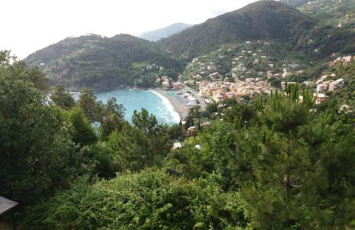 Casa Cinzia Bonassola Cinque Terre - Foto 47